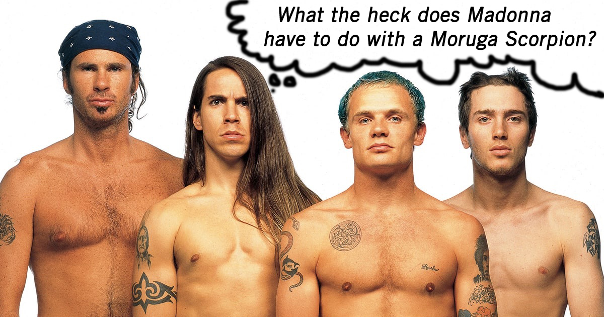 Red Hot Chili Peppers Moruga Scorpion meme
