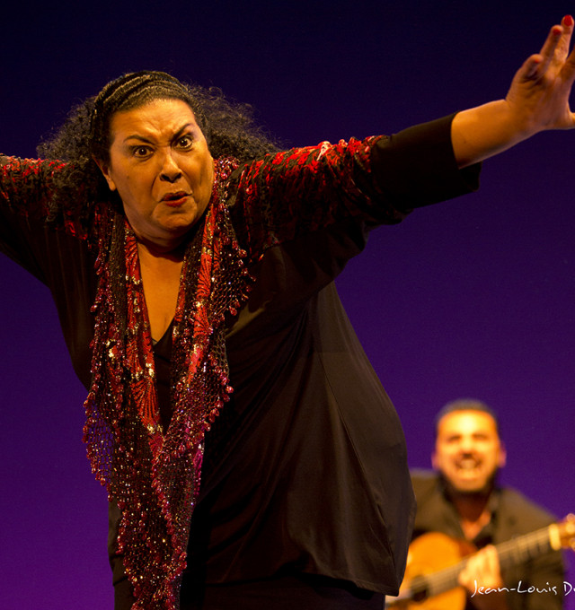 Concha Vargas Lebrija Flamenco